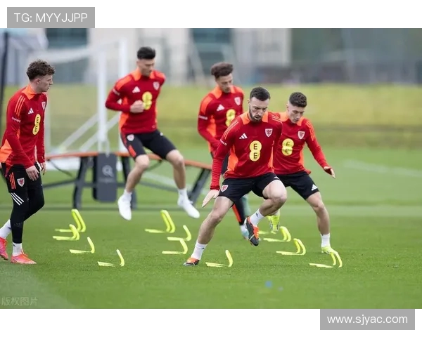 阿塞拜疆与威尔士足球对决前瞻分析及战术解读